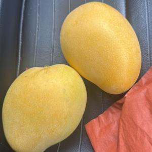 Banganapalle : 3kg: ₹300 (100/kg)